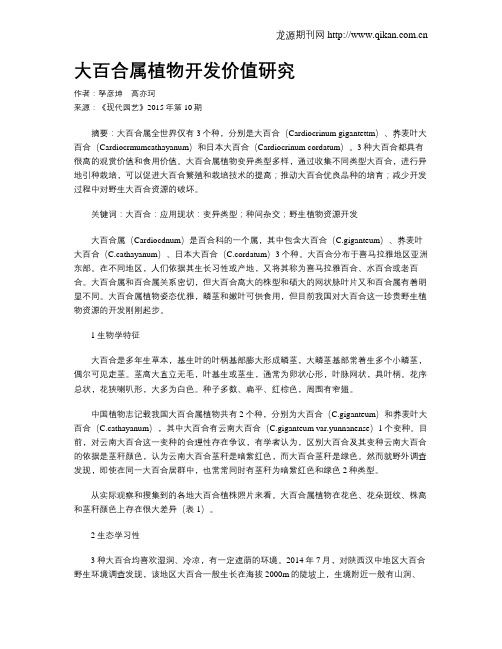 大百合属植物开发价值研究