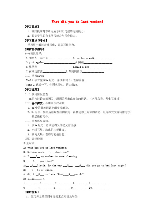 河南省濮阳市第六中学七年级英语上册 Unit 4 What did you do last we
