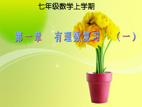 七年级数学上册《第一章 有理数》总复习课件 人教新课标版