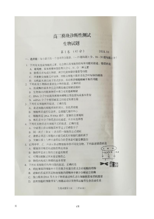 2019届山东省安丘市、诸城市、五莲县、兰山区高三10月联考生物试题(图片版)