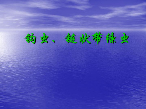 钩虫、链状带绦虫ppt课件