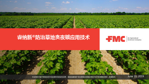 康宽防治草地贪夜蛾应用技术