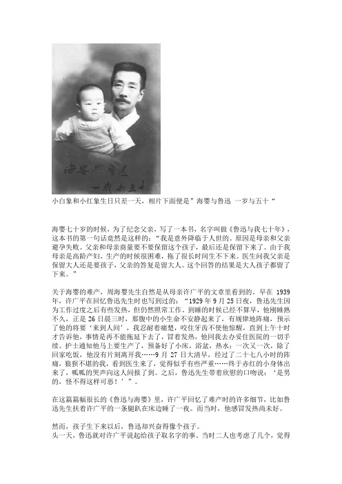 海婴