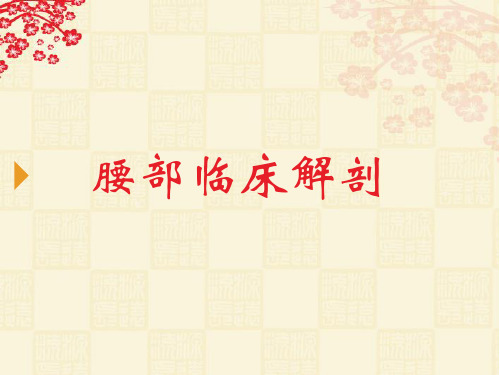 腰部应用解剖PPT课件
