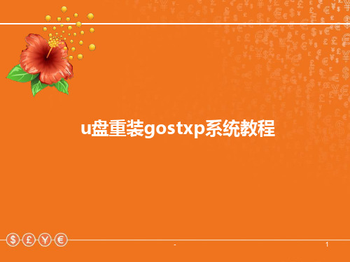 gostxp系统安装教程PPT课件