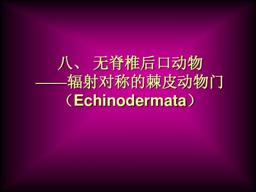 八、九、 棘皮动物2008