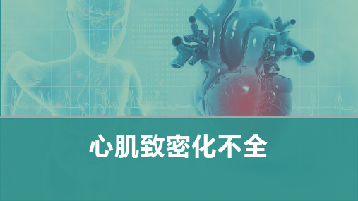 内科学-心肌致密化不全