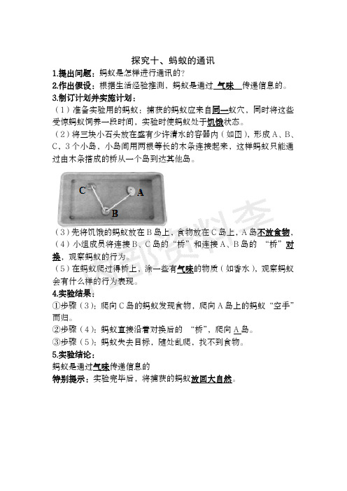 十、蚂蚁的通讯