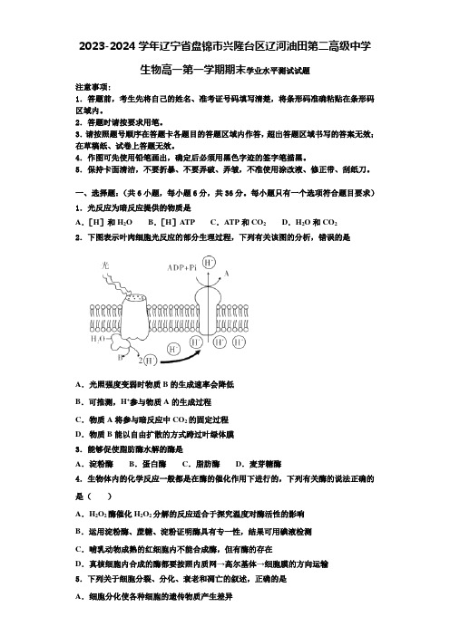 2023-2024学年辽宁省盘锦市兴隆台区辽河油田第二高级中学生物高一第一学期期末学业水平测试试题含