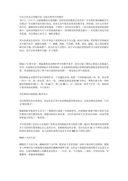 它们才是真正的数学家 寻找自然界中的数学