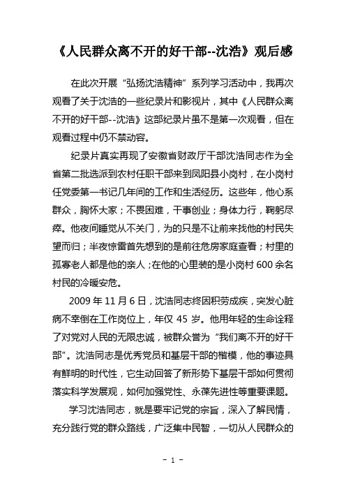 《人民群众离不开的好干部-沈浩》观后感
