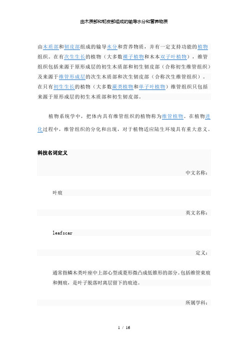 【精品】由木质部和韧皮部组成的输导水分和营养物质