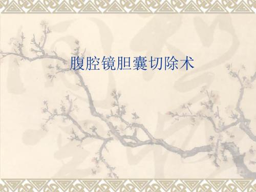 腹腔镜胆囊切除术