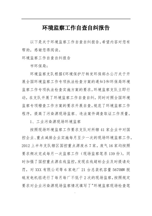 环境监察工作自查自纠报告