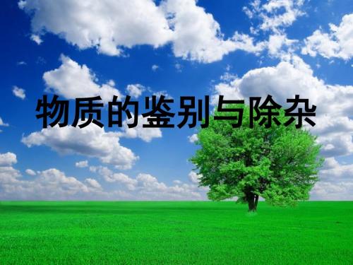 物质的鉴别与除杂