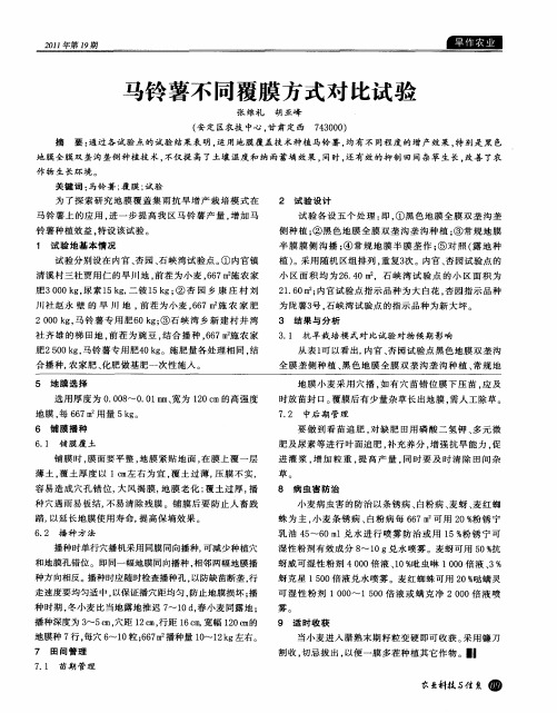 马铃薯不同覆膜方式对比试验