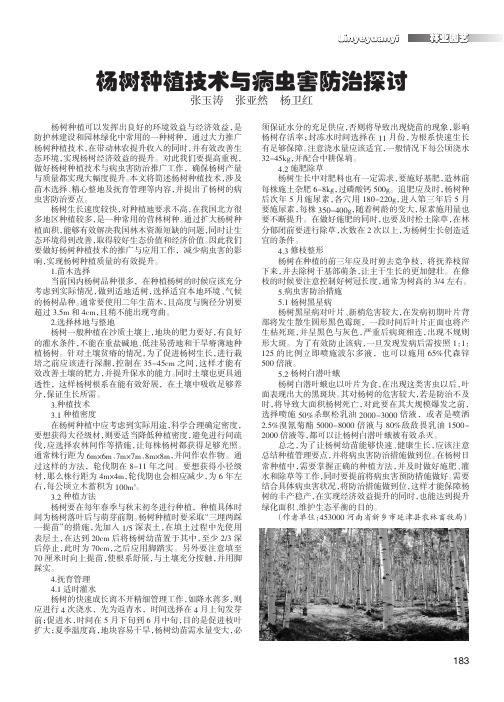 杨树种植技术与病虫害防治探讨