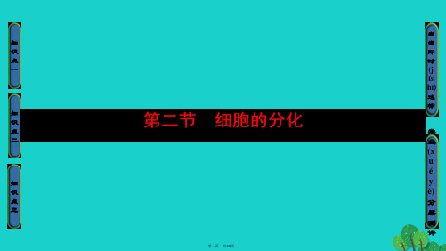 高中生物第四章细胞的增殖与分化第2节细胞的分化课件浙科版必修1