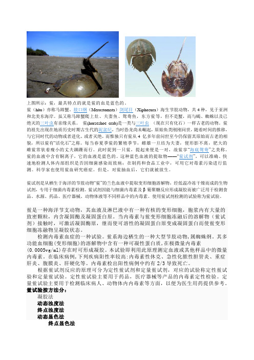 鲎试验(Limulus test)
