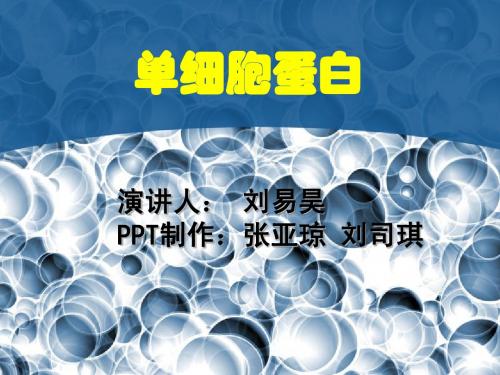 单细胞蛋白2