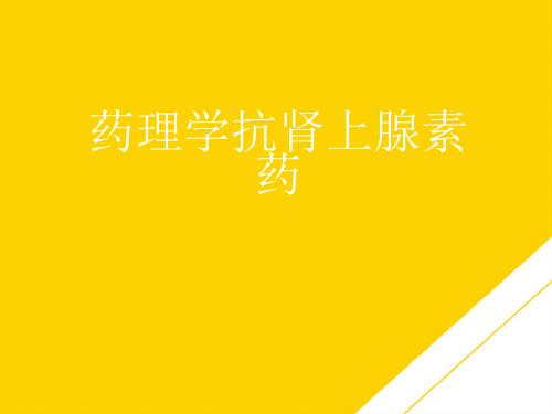药理学抗肾上腺素药(最全版)PTT文档