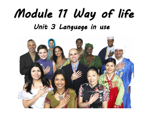 英语 Module11 Unit 3