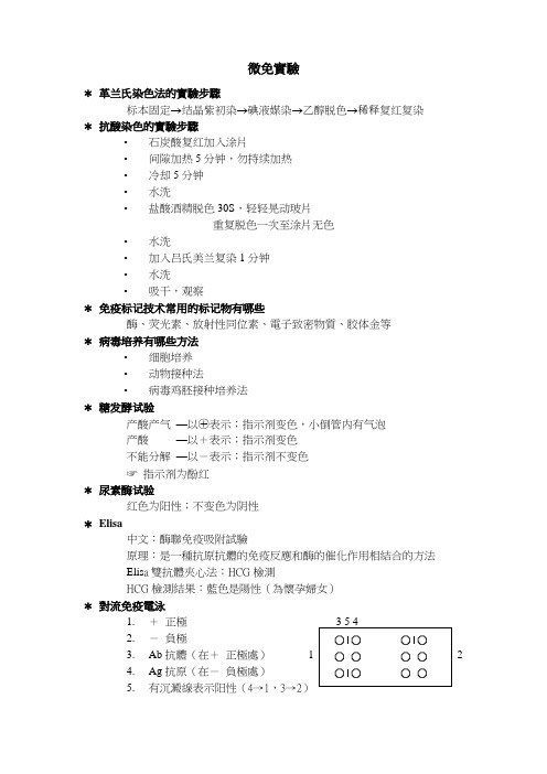 微免实验