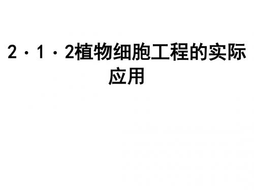 《植物细胞工程的实际应用》课件3