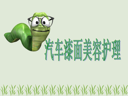 汽车漆面美容护理