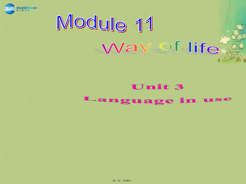 八年级英语上册 Module 11 Unit 3 Language in use课件 (新版)外研版