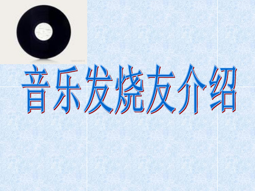 发烧友介绍