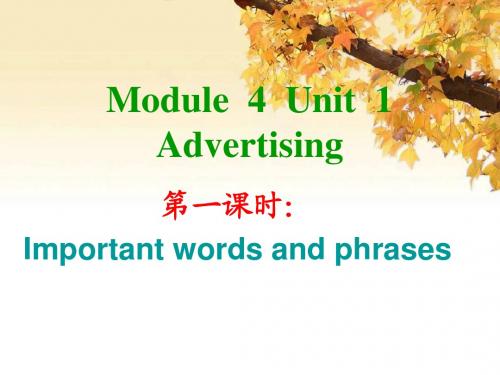 英语：Unit1《Advertising》课件(译林牛津版必修4)