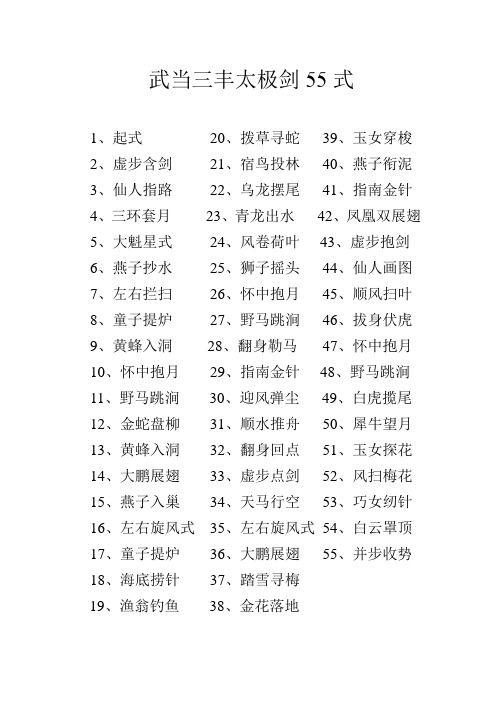 武当三丰太极剑55式