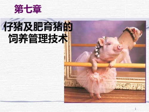 《养猪与猪病防治》七仔猪及肥育猪的生产管理技术PPT课件