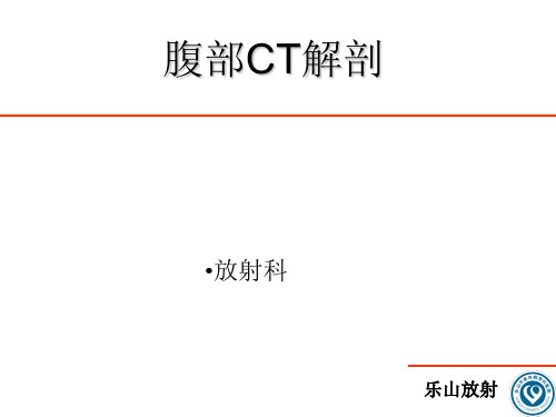 腹部CT诊断(很经典)