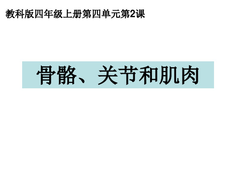 新编教科版小学四年级科学上册《骨骼关节和肌肉》精品教学课件