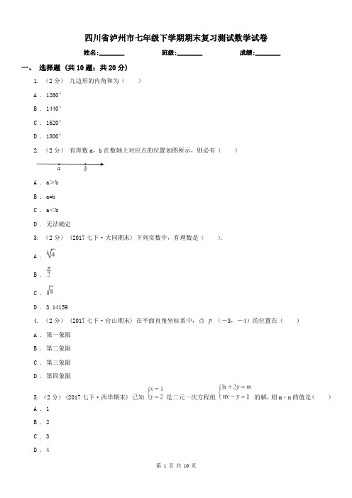 四川省泸州市七年级下学期期末复习测试数学试卷 