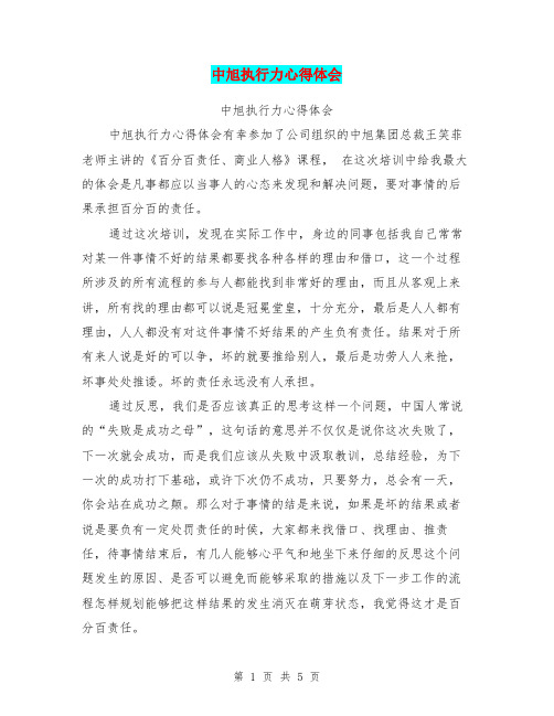 中旭执行力心得体会