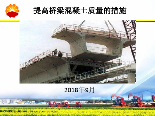 提高桥梁混凝土质量的措施
