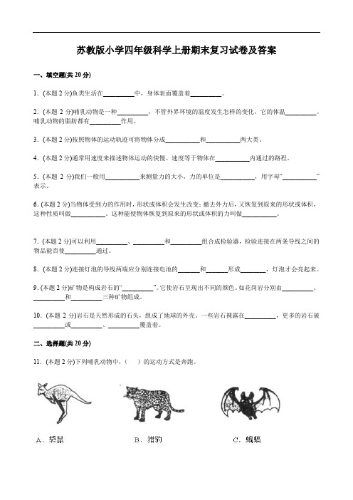 苏教版小学四年级科学上册期末复习试卷及答案