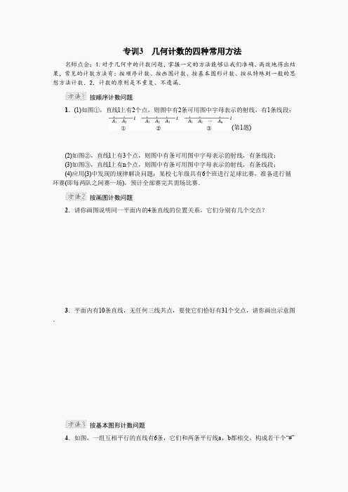专训3 几何计数的四种常用方法