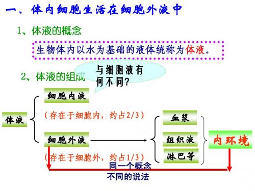 生物必修3复习提纲