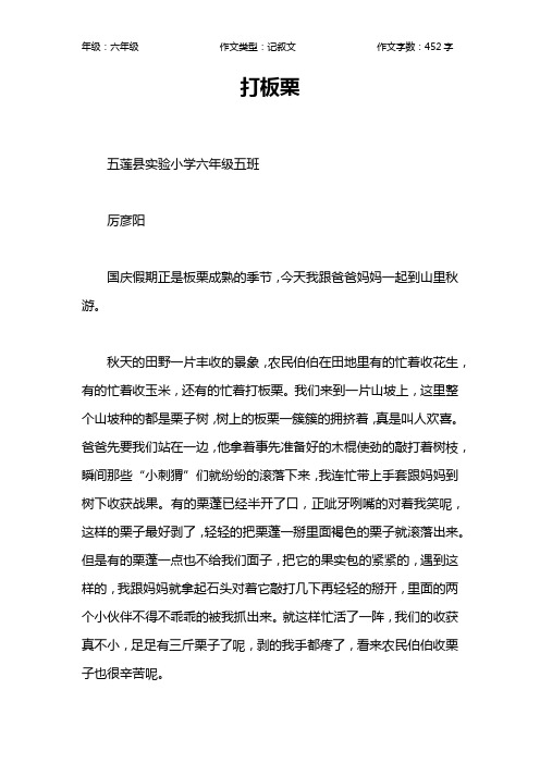 打板栗作文【小学六年级500字】