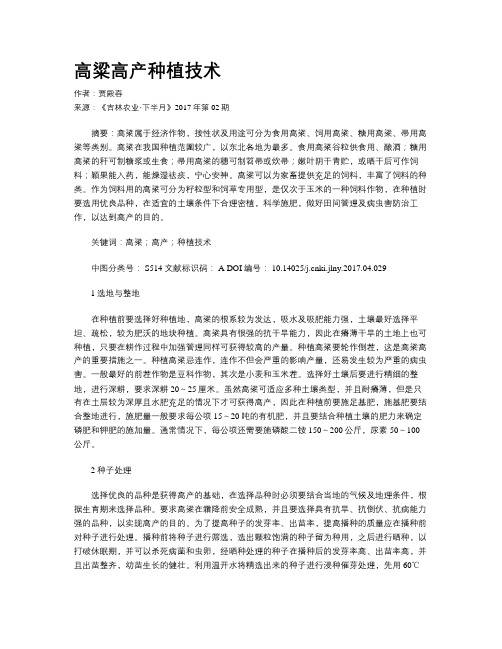 高粱高产种植技术
