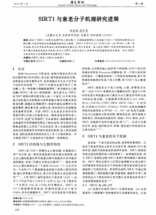SIRT1与衰老分子机理研究进展