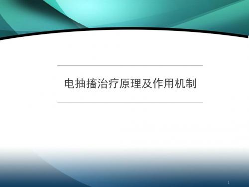 电抽搐治疗原理及作用机制医学PPT课件