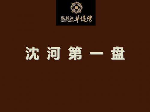 20130129_沈阳_保利达翠堤湾_项目推介