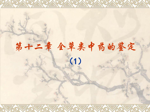 全草类中药(1)PPT课件