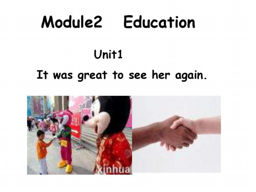 九年级英语it-was-great-to-see-her-again课件1基础学习知识