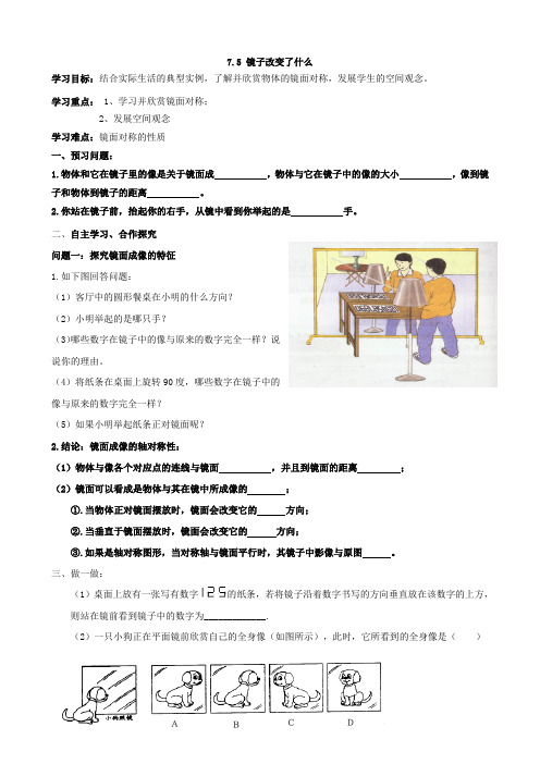 数学：7.5《镜子改变了什么》学案(北师大七年级下)